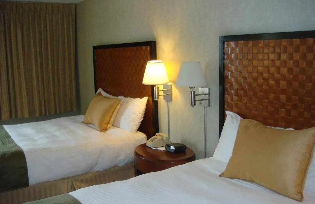 The Skyline Hotel New York-1